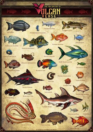 Visual of the fish collection.jpg